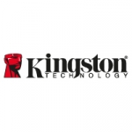 Geheugenuitbreiding - Kingston KTDPE313/8G, 8GB 1333MHz Reg ECC Module for Dell, oem partnr.: A2862068 (1066MHz); A2862073 (1066MHz); A2884830 (1066MHz); A2884831 (1066MHz); A2884832 (1066MHz); A2884833 (1066MHz); A2884834 (1066MHz); A2984886 (1333MHz); A2984887 (1333MHz); A3024690 - KTD-PE313/8G